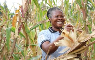 Reichere Ernte und Einkommen für Familien in Uganda
