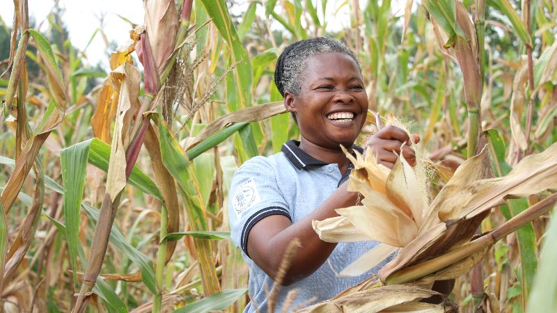 Reichere Ernte und Einkommen für Familien in Uganda
