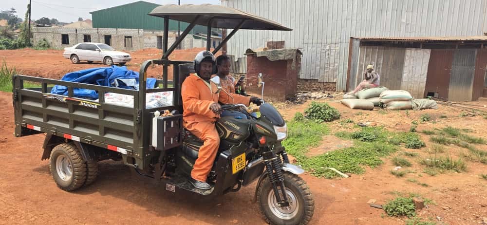 In den Baumschulen werden die Setzlinge gezogen, bevor sie an die Kleinbäuer:innen gehen
