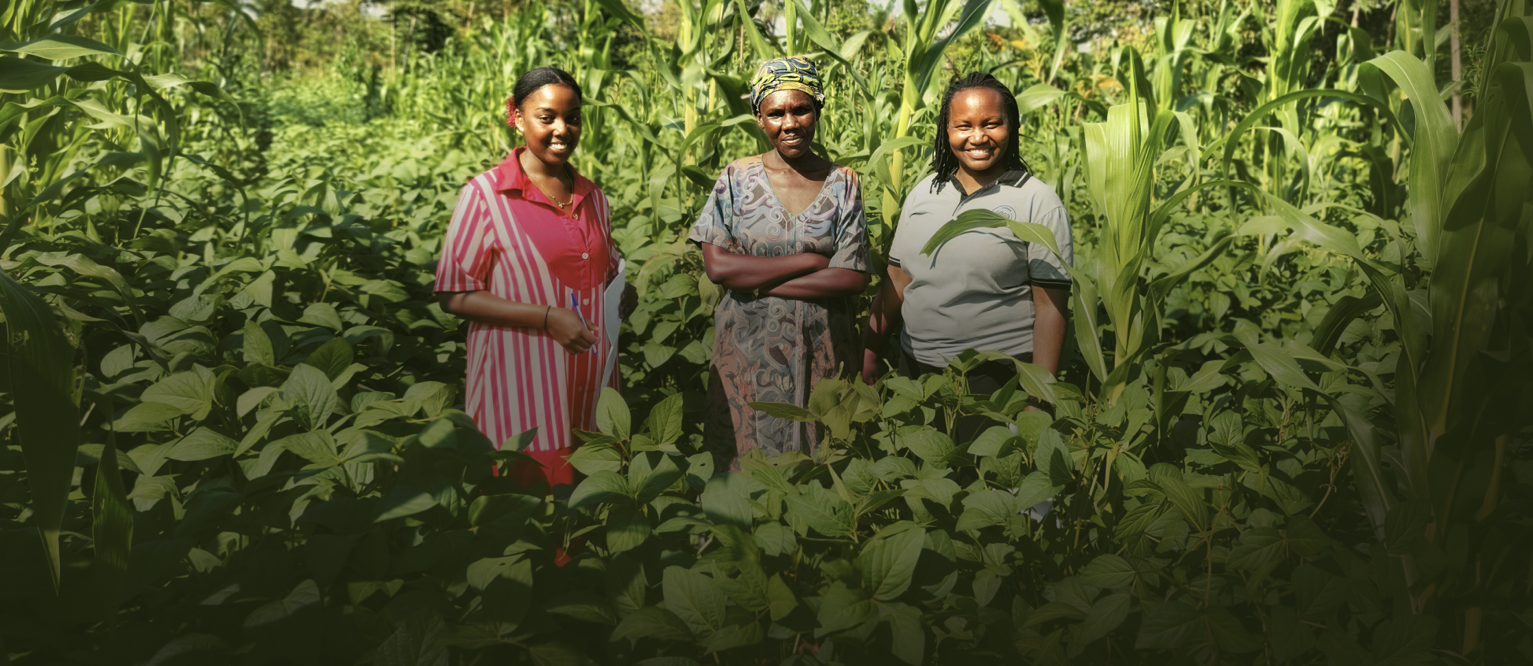 260331_Stay_Keyvisual_Hero_red Stay YesWeGrow Uganda Headerbild