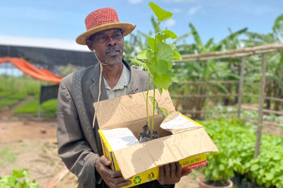 Baumpartnerschaft für Familie abschließen Grafik