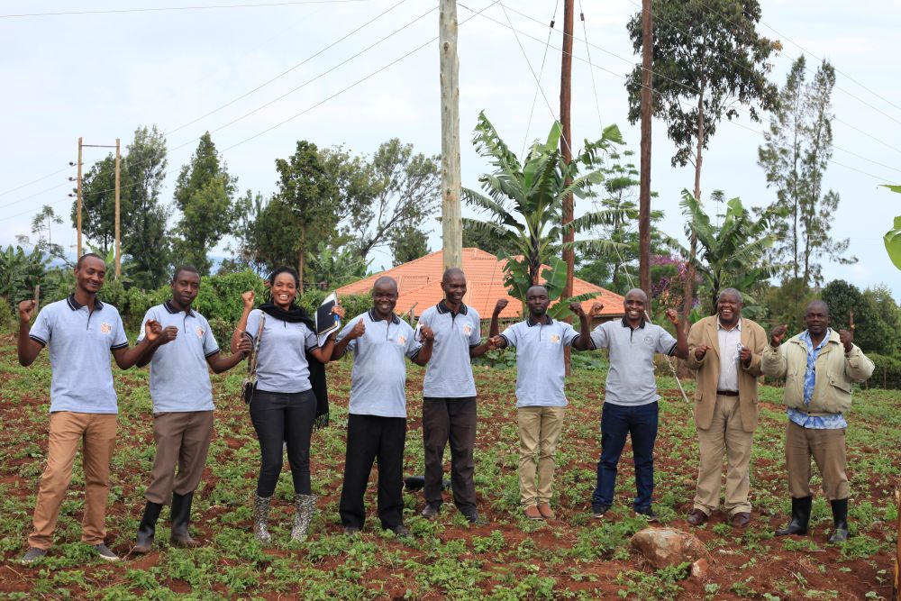 Baumpartnerschaft Unternehmen abschließen Grafik