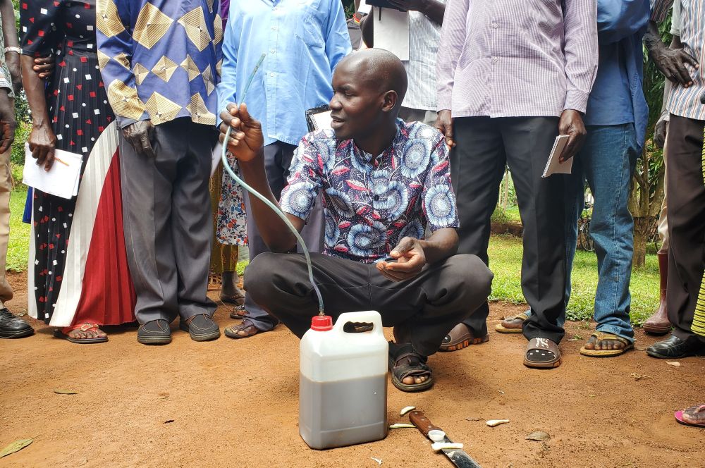 Baumpartnerschaft Unternehmen abschließen Grafik